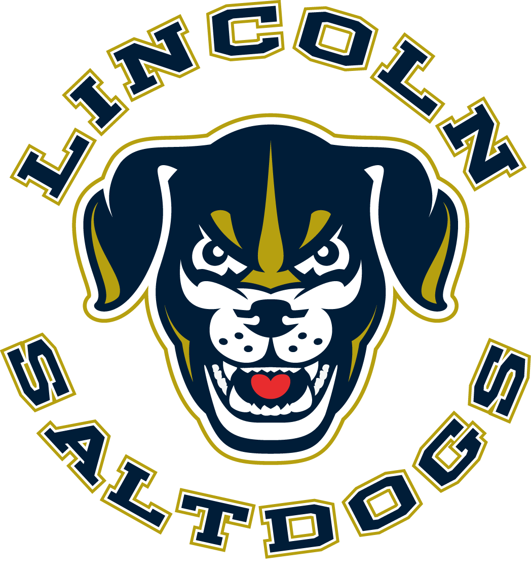 Lincoln Saltdogs 2017-Pres Primary Logo iron on transfers for clothing